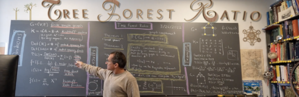 Tree Forest Ratio