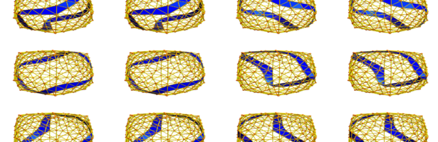 Simple Closed Geodesics