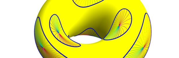 Quantum Multivariable Calculus Flavors